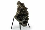 Dark Smoky Quartz Crystal Cluster on Metal Stand - Brazil #349471-2